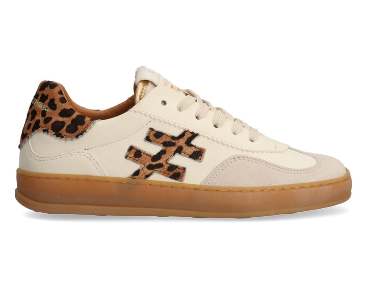 Another Trend Multi Trainer